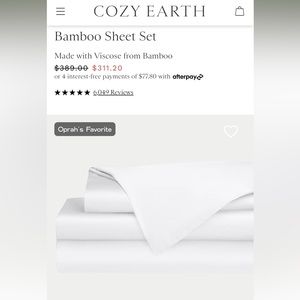 Cozy Earth Queen Bamboo Sheet Set